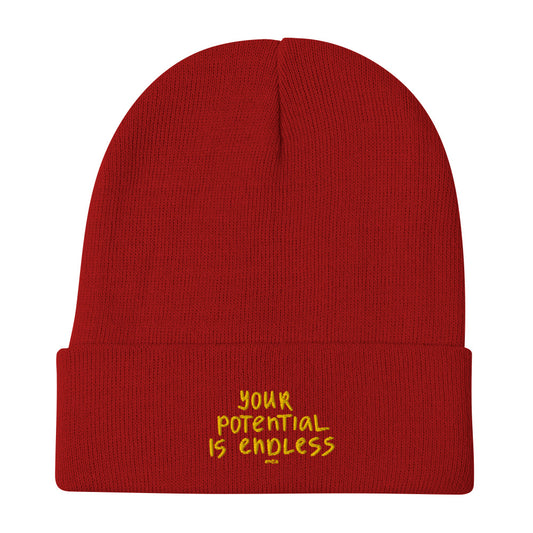 Your Potential Is Endless Embroidered Beanie