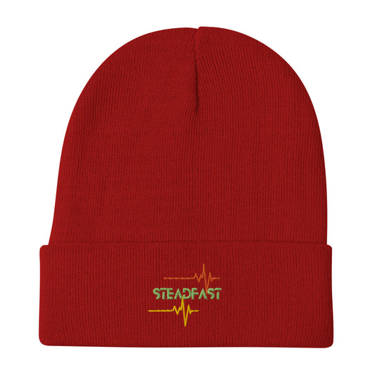 Steadfast Embroidered Beanie